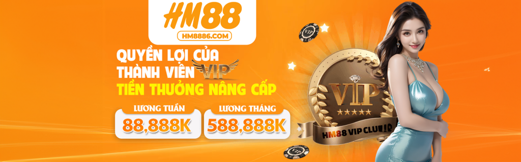 banner hm88